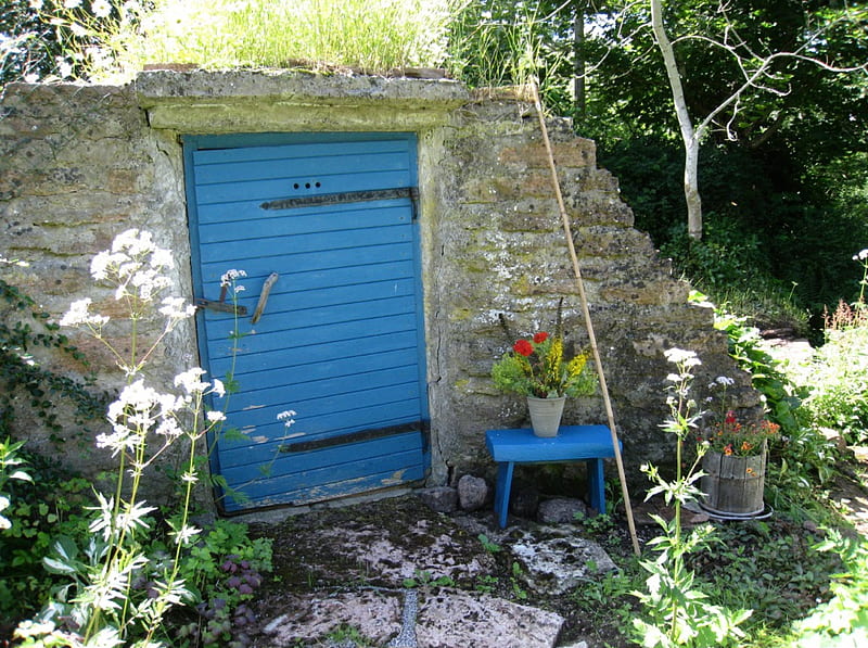 Earth Cellar, tree, stones, flowers, cellar, blue, door, HD wallpaper