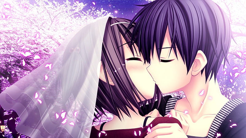 Anime Kiss, guy, sakura blossom, veil, floral, kiss, cherry blossom,  blossom, HD wallpaper | Peakpx