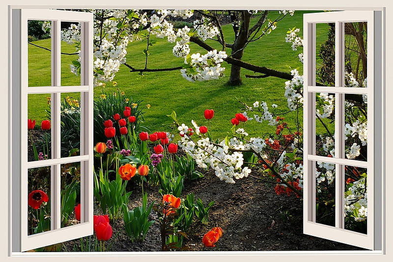 a beautiful day, windows, graphy, flowers, garden, beauty, nature, HD wallpaper