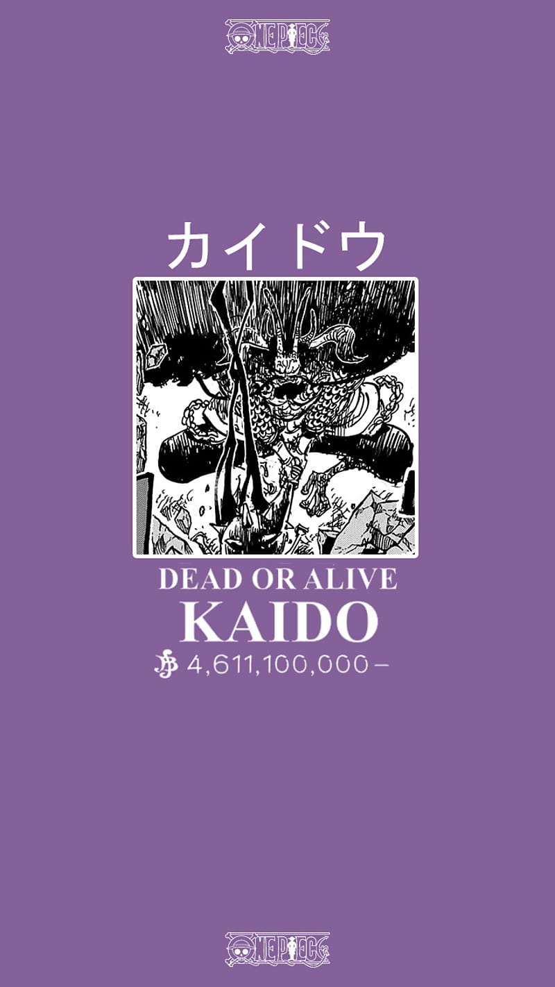 Kaido - One Piece, robin, luffy, zoro, nami, wano, one piece, sanji, anime, HD phone wallpaper