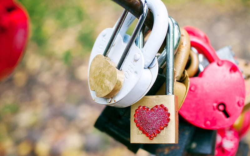 Love padlocks, everlasting, everlasting love, padlocks, love locks, wish, love, HD wallpaper