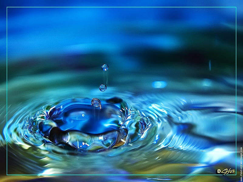 A drop of blue, water, ripples falling, drop, blue, HD wallpaper