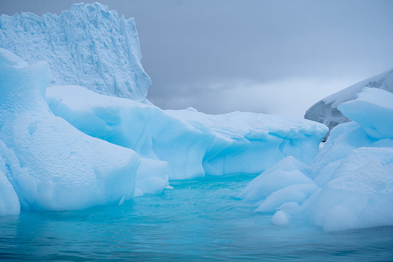 glacier, ice, water, antarctic, snow, HD wallpaper