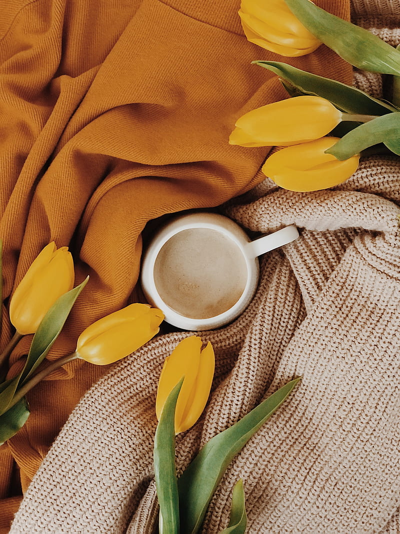 cup, tulips, flowers, yellow, drink, HD phone wallpaper