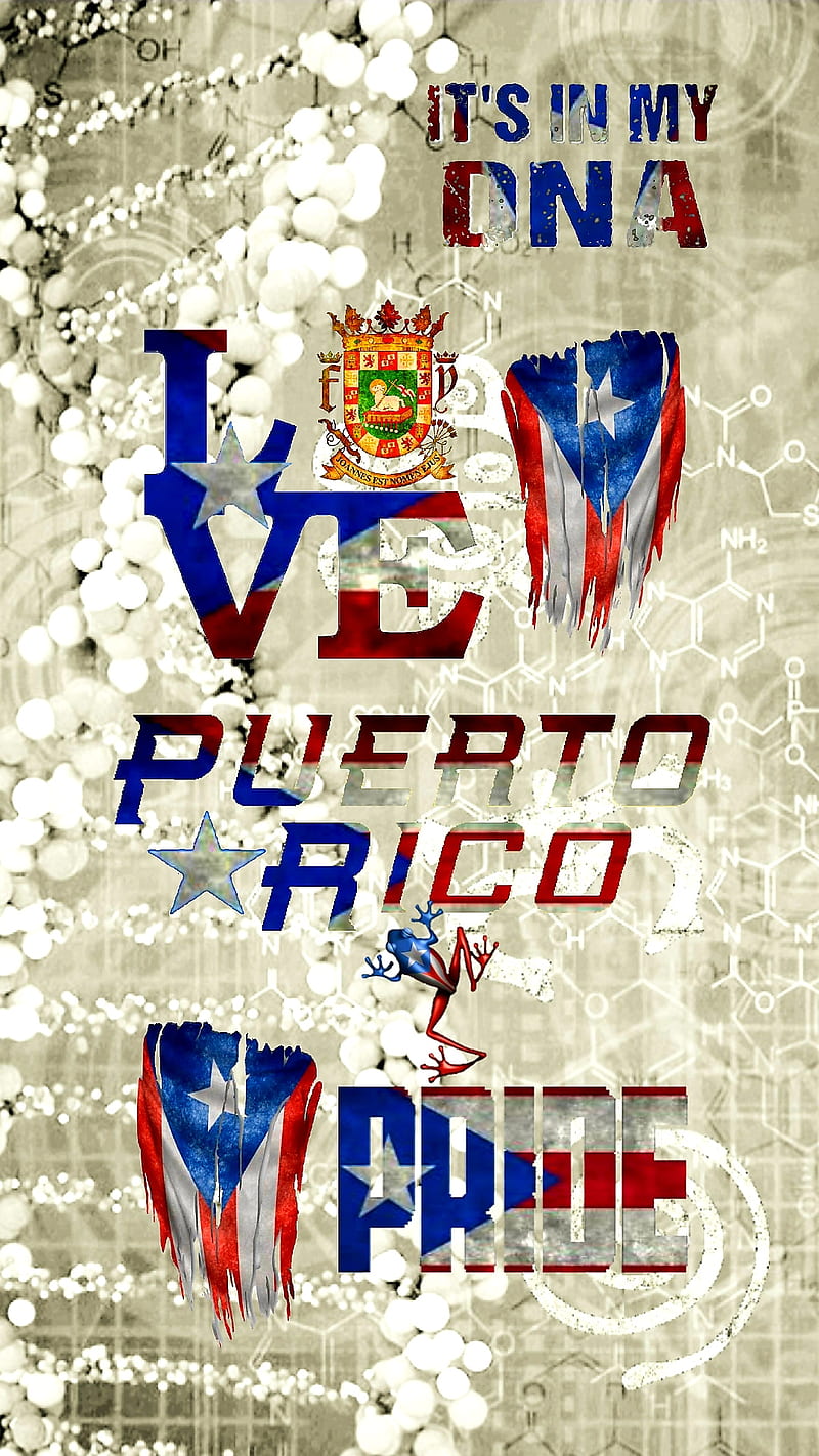 Puerto Rico, coat of arms, coqui, flag, frog, love, pride, taino, HD phone wallpaper