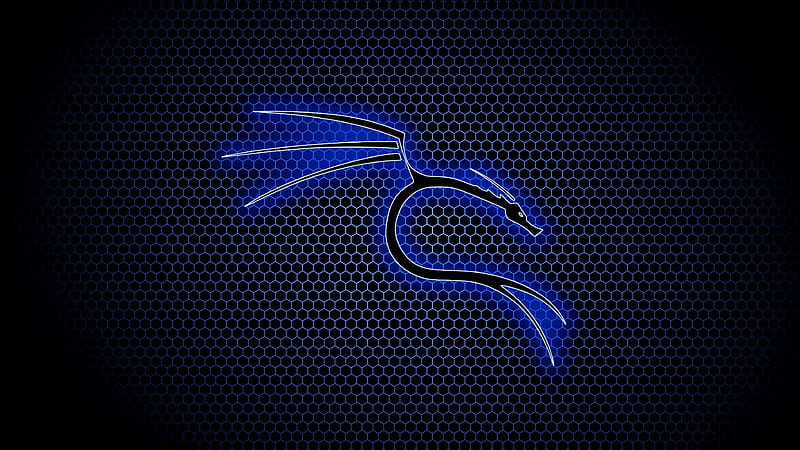 Kali Linux, computer, blue, hex, dragon, offensive security, HD wallpaper |  Peakpx