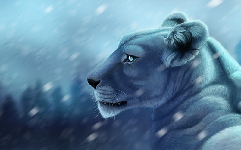 Leona, animal, azul, invierno, frumusete, luminos, gato, iarna, leones,  fantasía, Fondo de pantalla HD | Peakpx