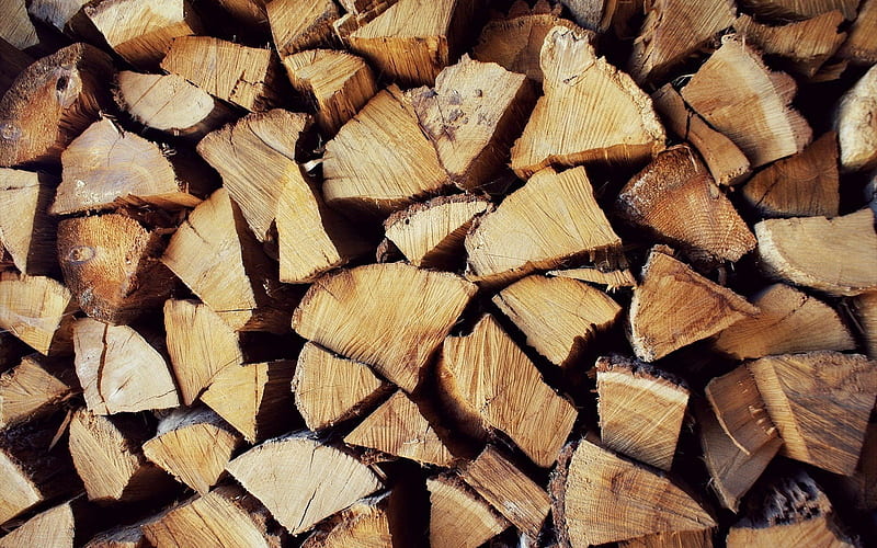 piece of wood, firewood, wood, HD wallpaper