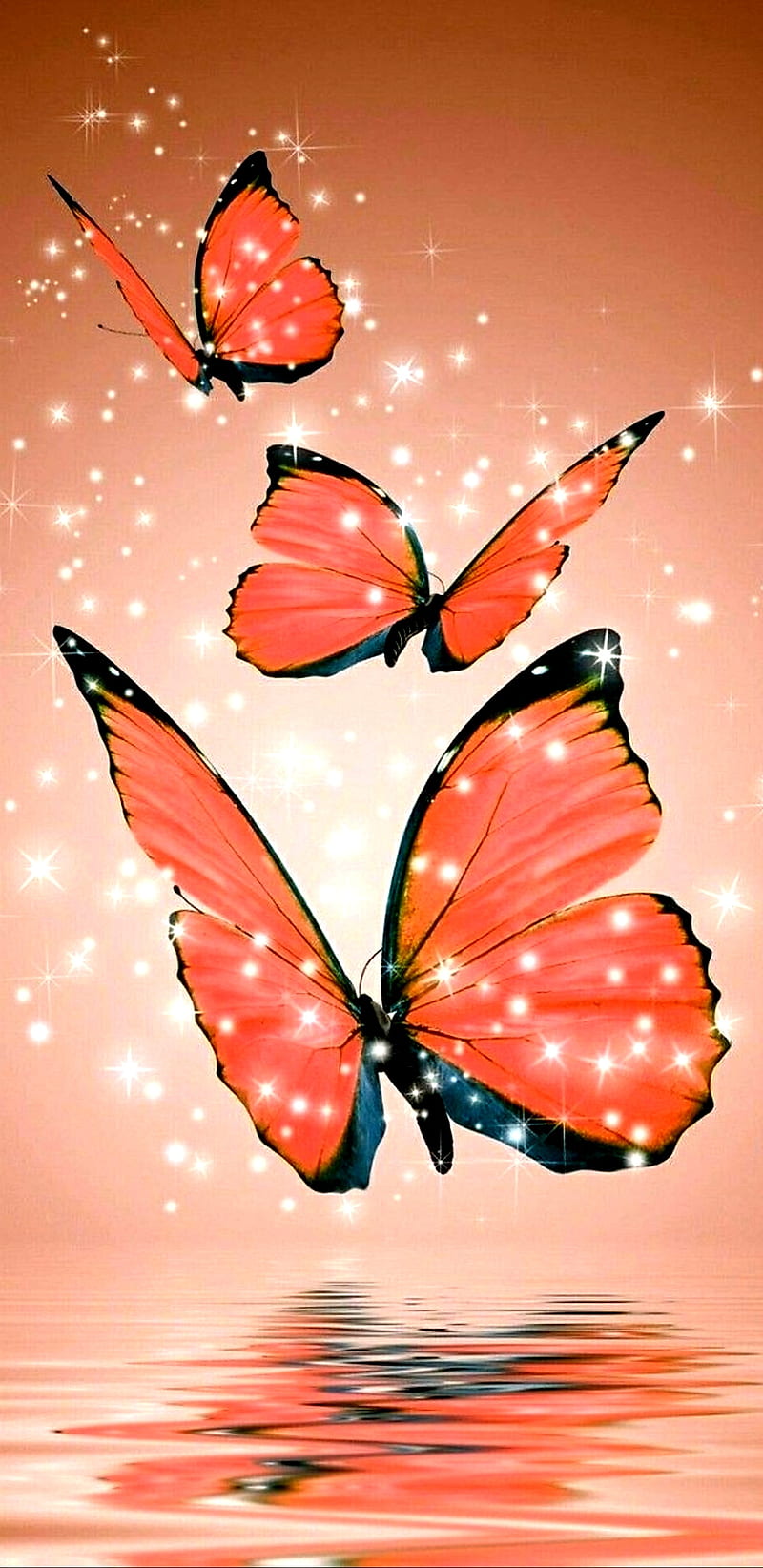 Butterfly Sparkles, butterflies, girly, glitter, orange, pretty, sparkle, HD phone wallpaper