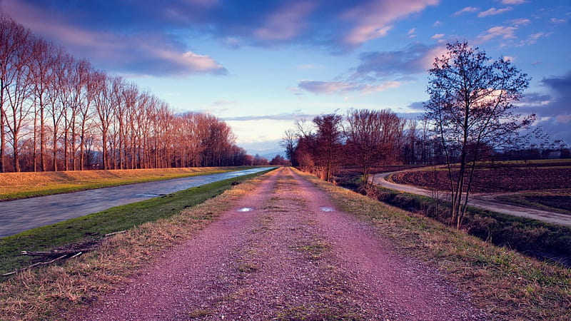 pink gravel road along a canal, canal, road, trees, clouds, pink, HD wallpaper