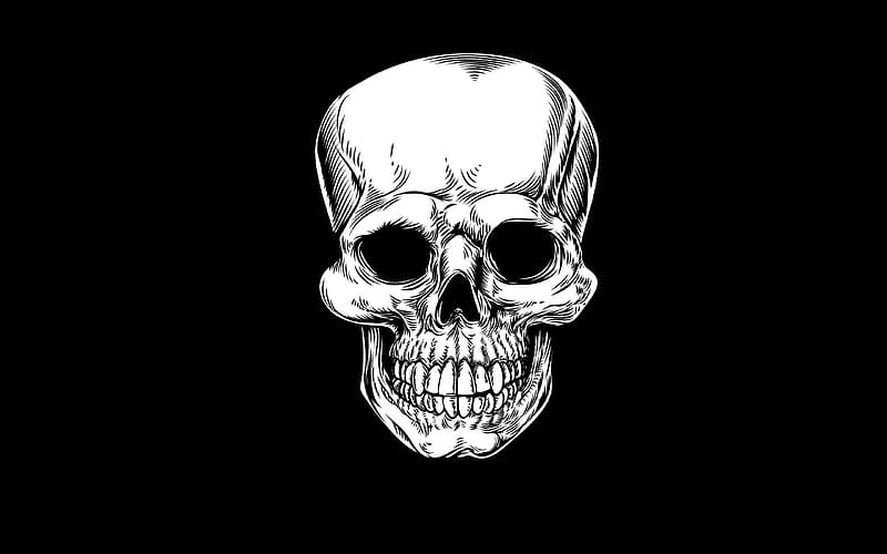 :D, black, white, bones, fantasy, art, one, minimalism, skull, HD wallpaper