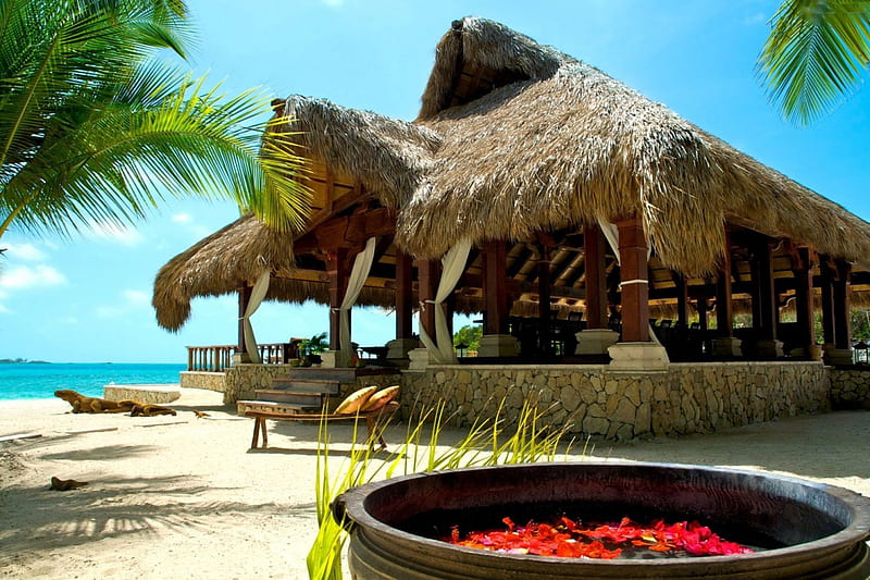 Beach Bar, hut, summer, palm, tropical, sea, HD wallpaper