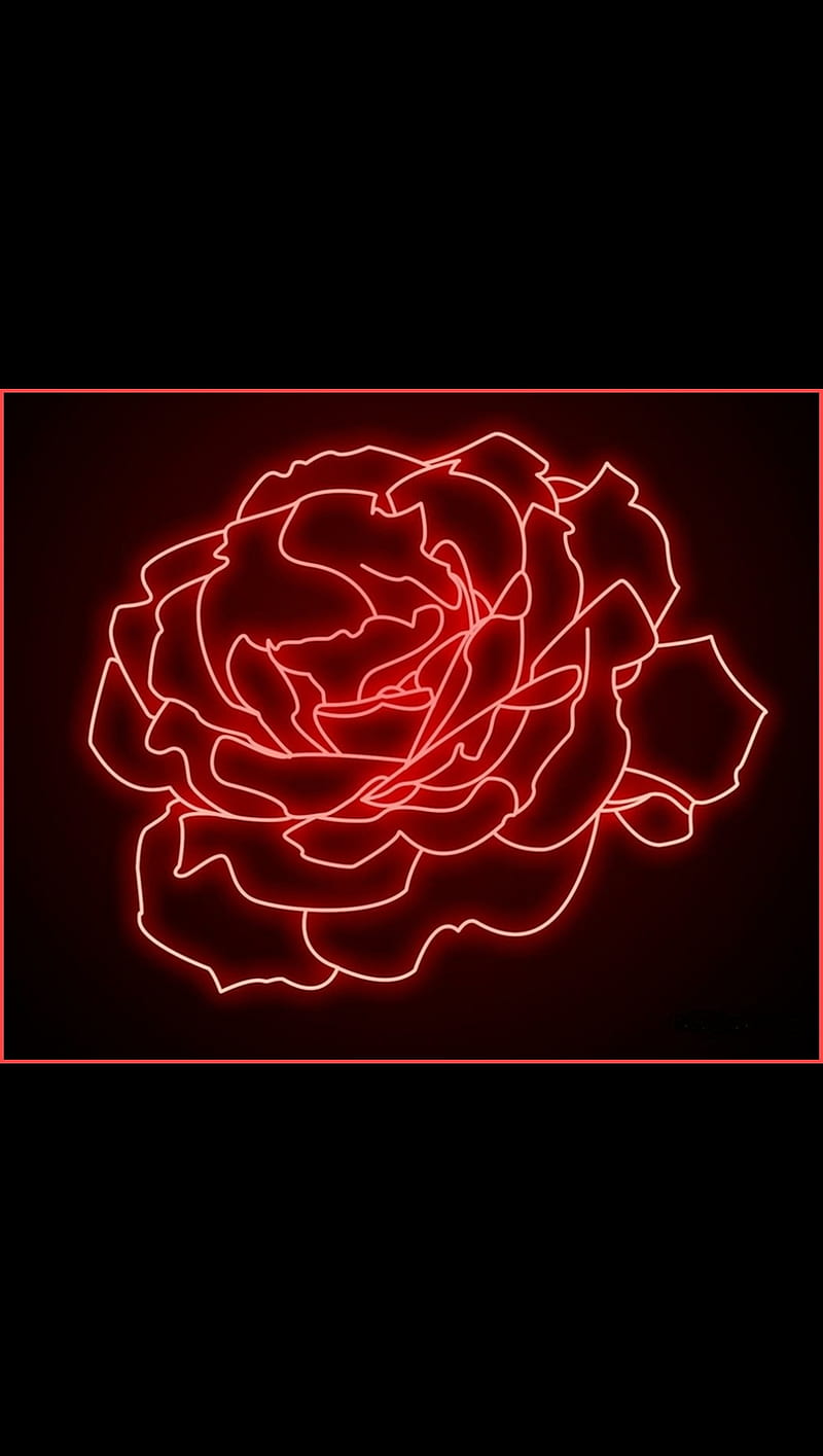 Download Flower Design Neon Rose Wallpaper