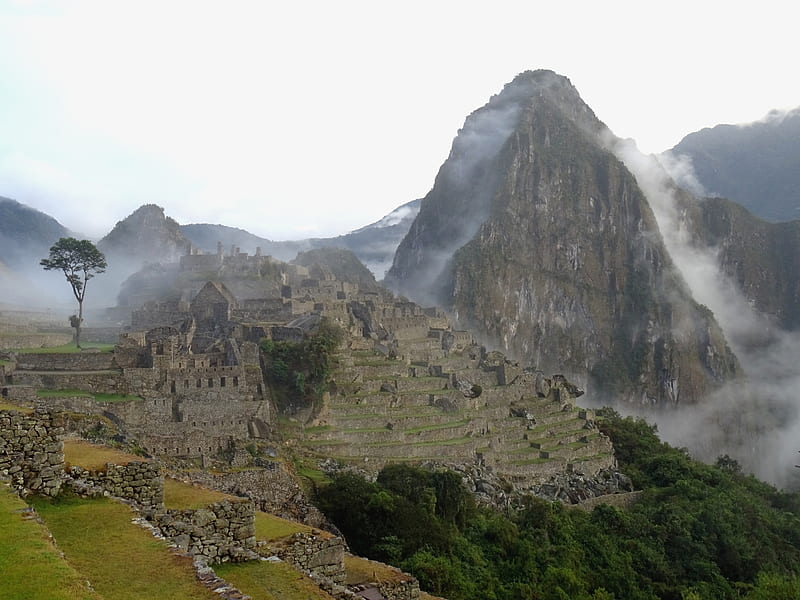 Foggy Macchu Picchu, forest, mountains, ruins, clouds, fog, HD wallpaper