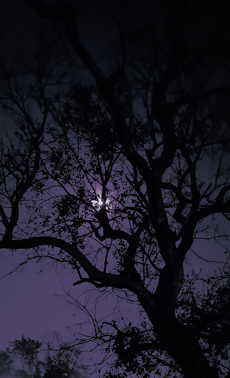 Lonely night, moon, sad, tree, HD phone wallpaper
