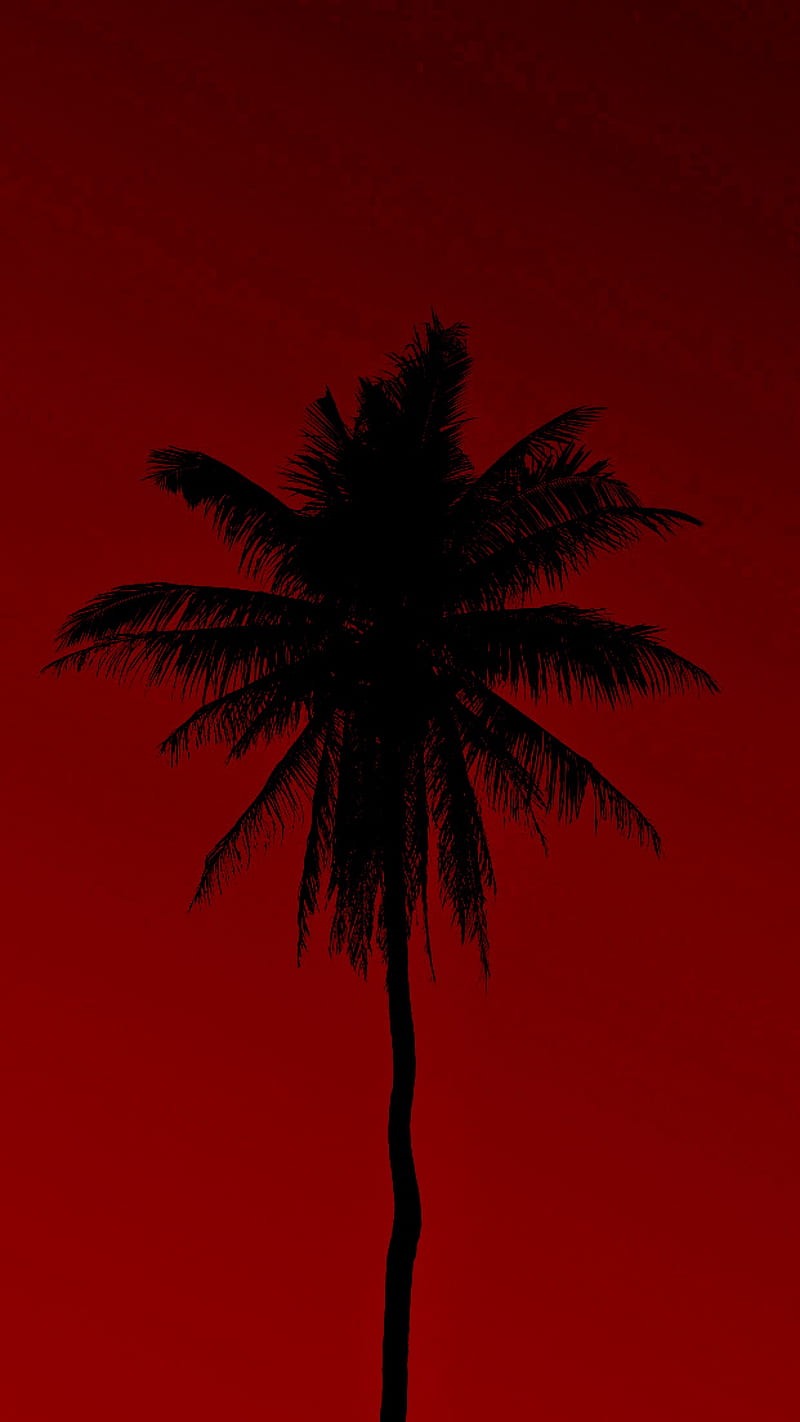 Red Palm, beach, palm tree, palms, red and black, summer, HD phone ...
