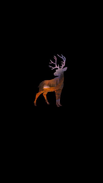 deer hunting backgrounds