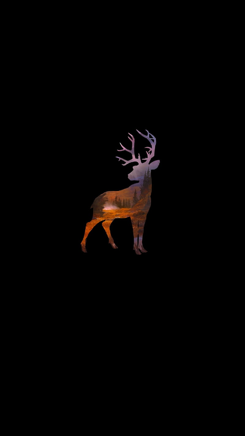Latest Deer iPhone HD Wallpapers  iLikeWallpaper