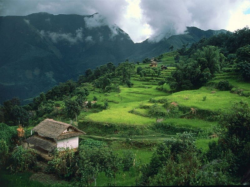 Num Village Arun River Region Nepal, tree, house, mount, mountains, HD wallpaper