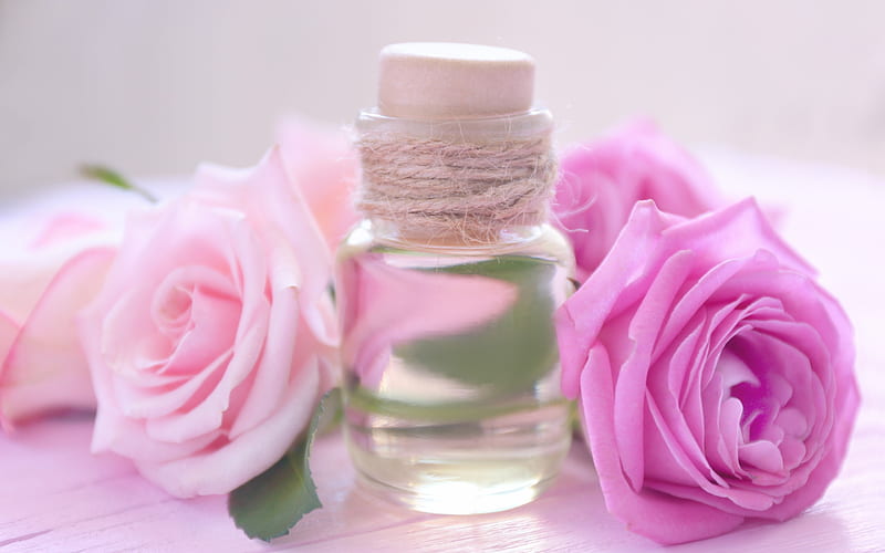 *, Bottle, Aroma, Roses, Perfume, Oil, HD wallpaper