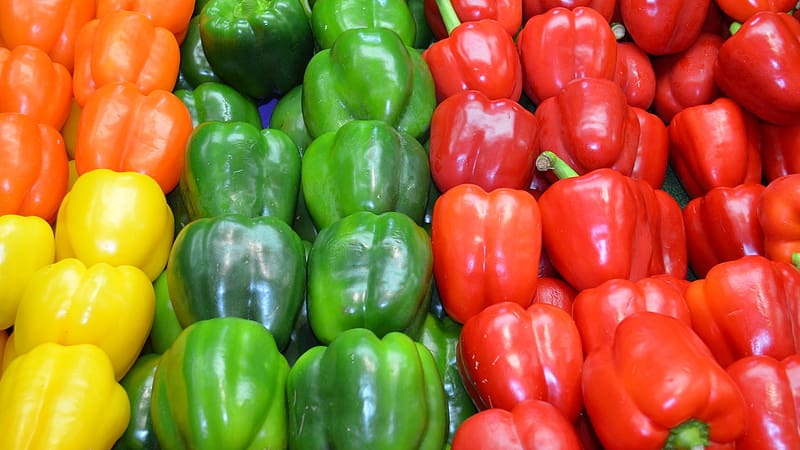 Food, Pepper, Colors, Colorful, , Vegetable, Capsicum, HD wallpaper