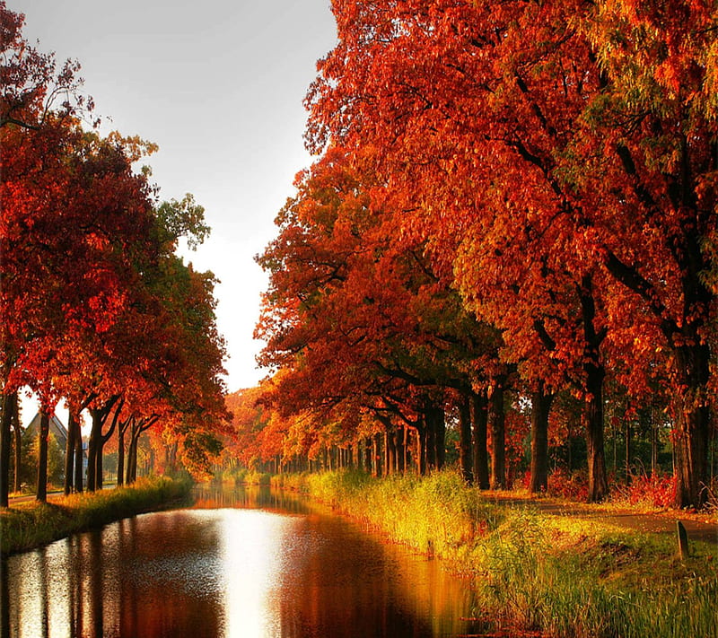 Autumn Lake, landscape, nature, new, nice, river, season, trees, HD ...