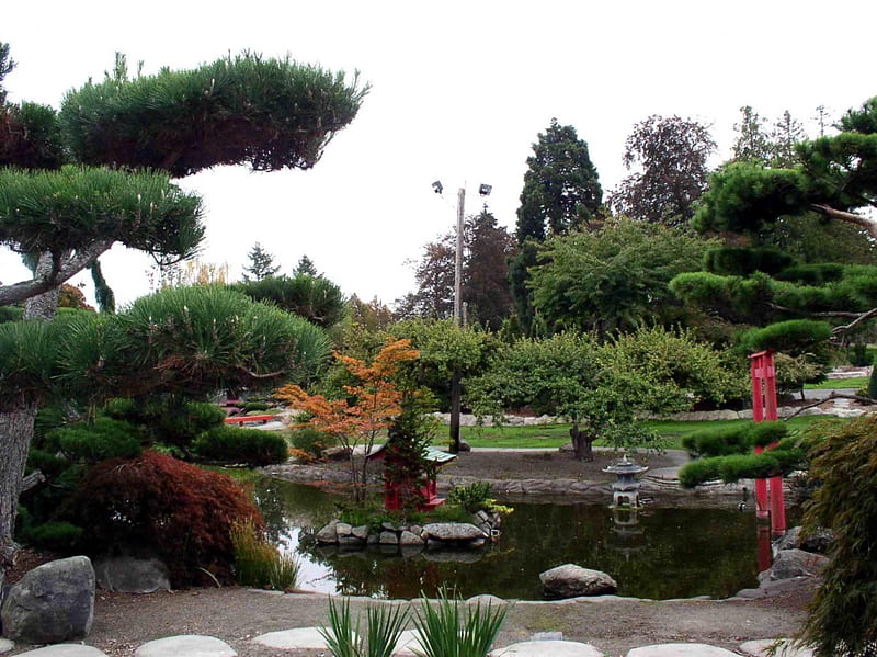 Serene Garden, pond, statues, flowering tree, stepping stones, japanese garden, HD wallpaper