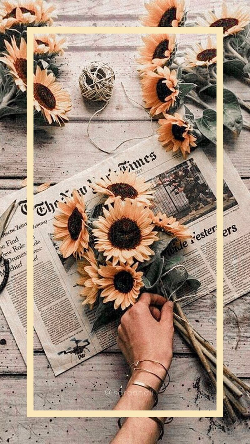 Sunflower, aesthetic, yellow, flower, yellow flower, pastel yellow, HD  phone wallpaper | Peakpx