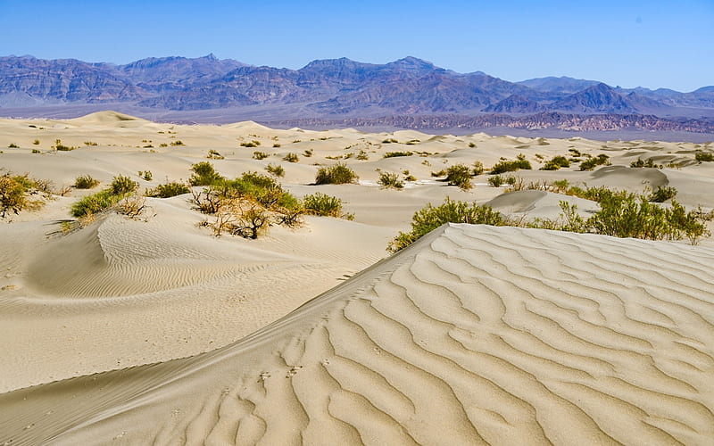 Desert in Nevada, desert, dunes, Nevada, America, HD wallpaper
