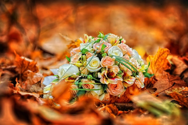 Autumn Bouquet , fall, autumn, grpahy, bonito, roses, leaf, leaves, bouquet, flowers, HD wallpaper