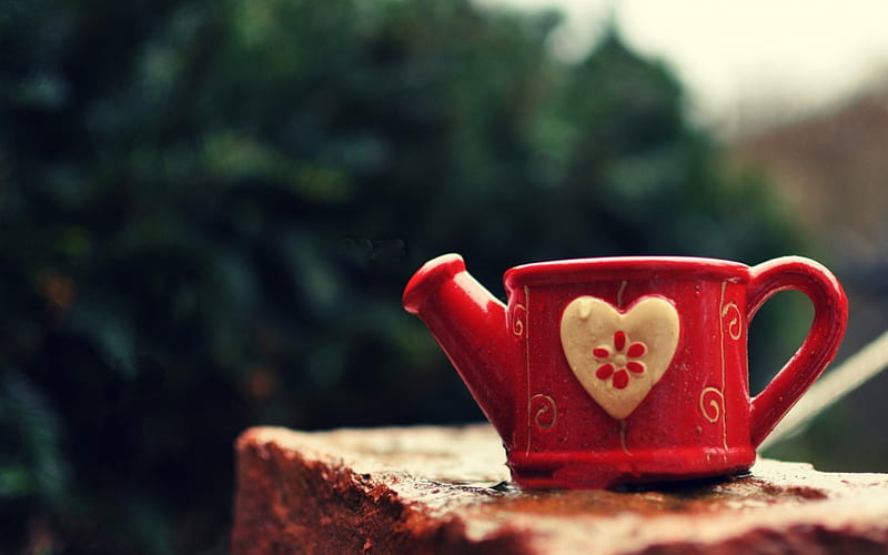 Watering Can, red, heart, cup, garden, mug, HD wallpaper