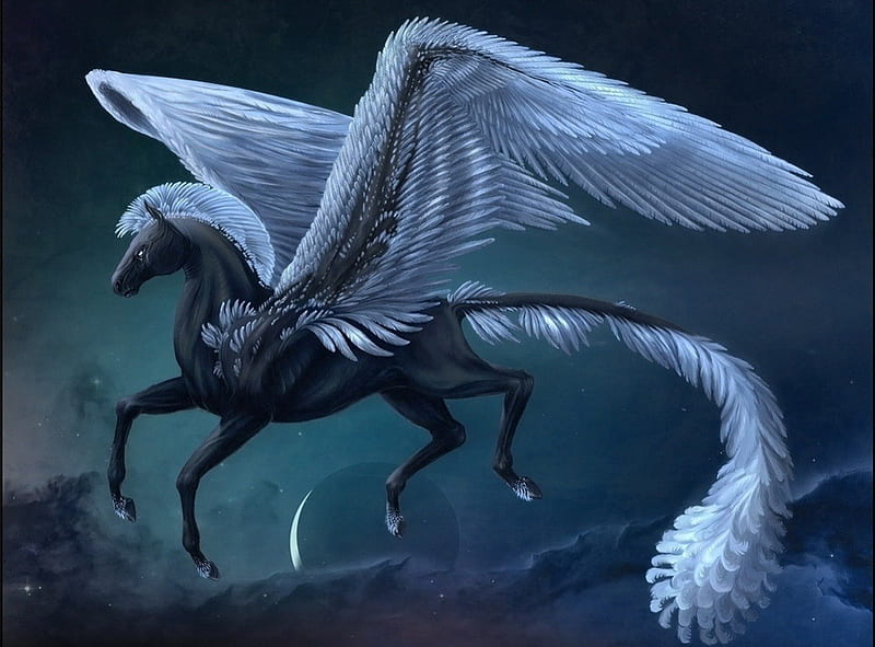 Pegasus, wings, horse, animal, fantasy, moon, white, creature, blue, night,  HD wallpaper | Peakpx