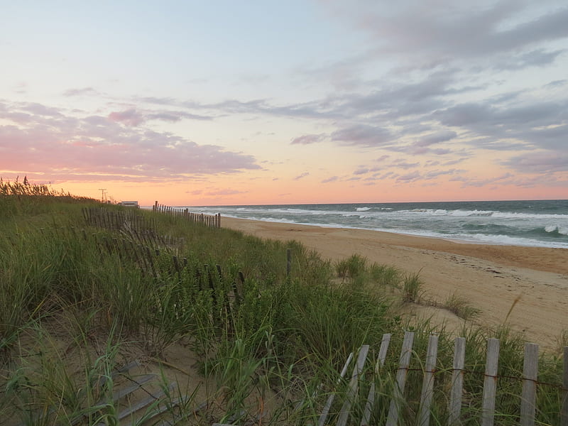 Outerbanks Sunrise with Sea Oats, beach, sea oats, sand, water, ocean, outerbanks, sunrise, HD wallpaper