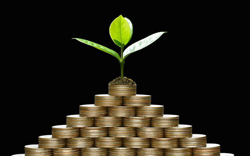 deposit, growth concepts, capital growth, business concept, sprout on gold coins, finance concepts, pyramid of coins, HD wallpaper