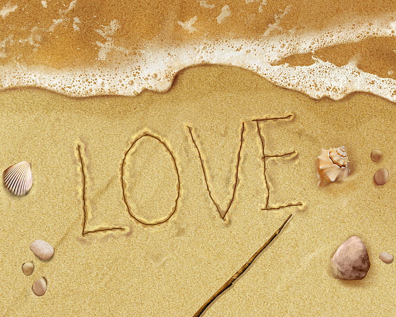 love, mussels, words, abstract, sea, beach, nice, sand, shells, HD wallpaper