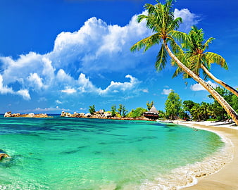 Tropical Paradise, HD wallpaper | Peakpx