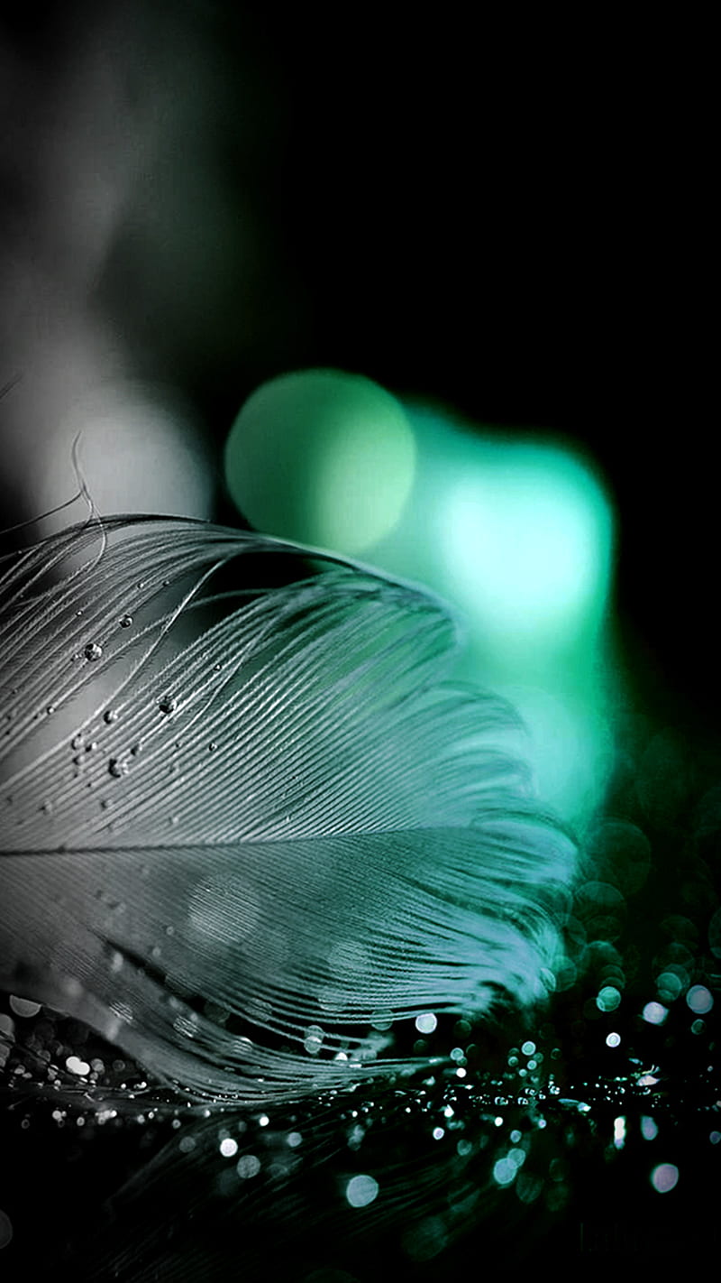 Sparkling Feather, feather, sparkling, HD phone wallpaper