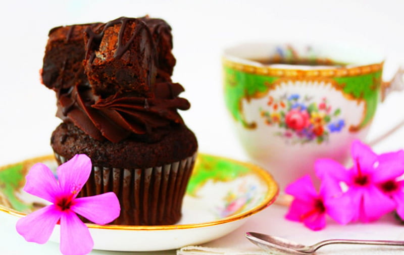 Chocolate fudge, cupcake, sweets, food, chocolate, cup, tea, HD wallpaper