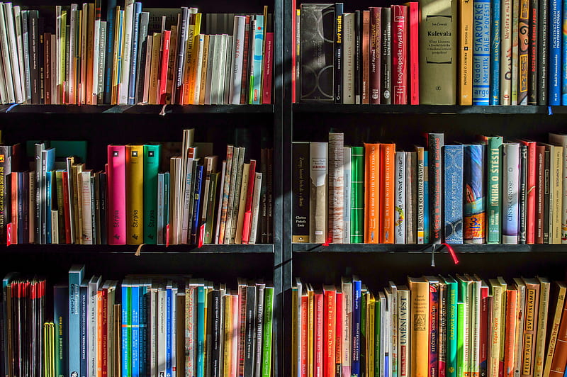 Some Bright Books On The Shelves, Harry Potter Bookcase Wallpaper 4k Pc
