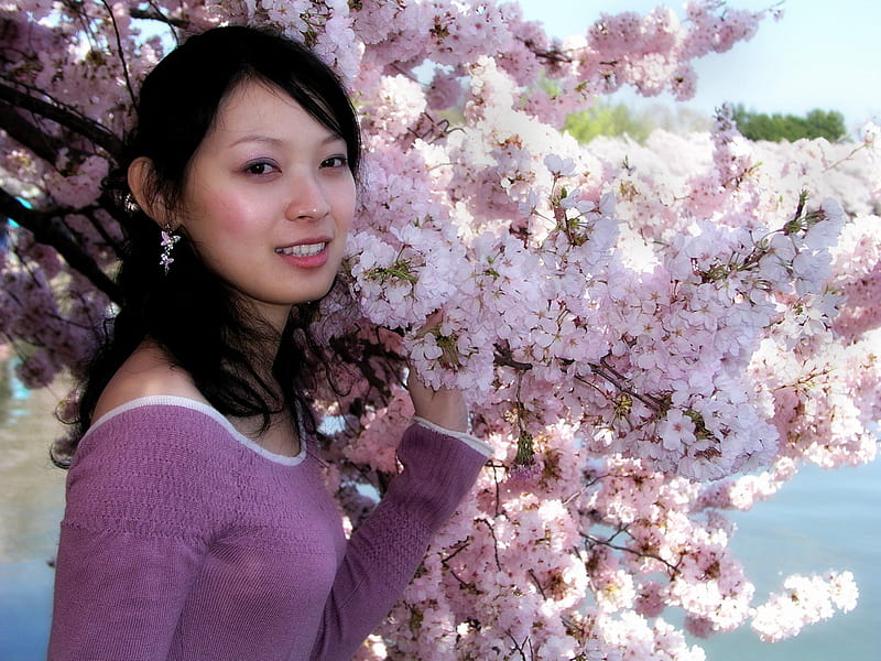 Beautiful Spring Cherry Blossoms, japan, japon, japanese, blossoms, bonito, spring, woman, cherry tree, HD wallpaper