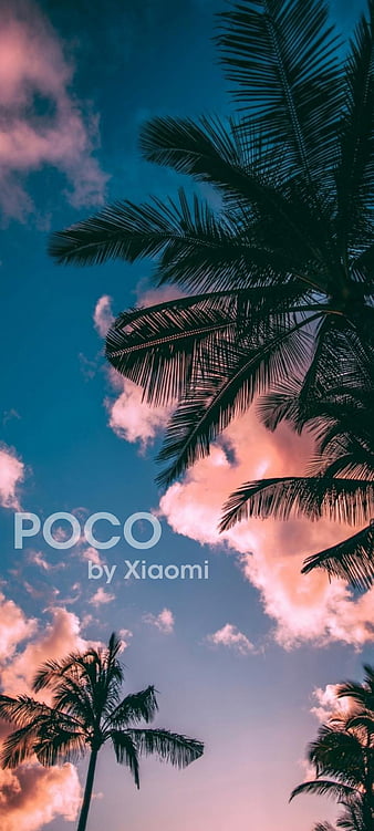 Poco , palm, sky, xiaomi, HD phone wallpaper