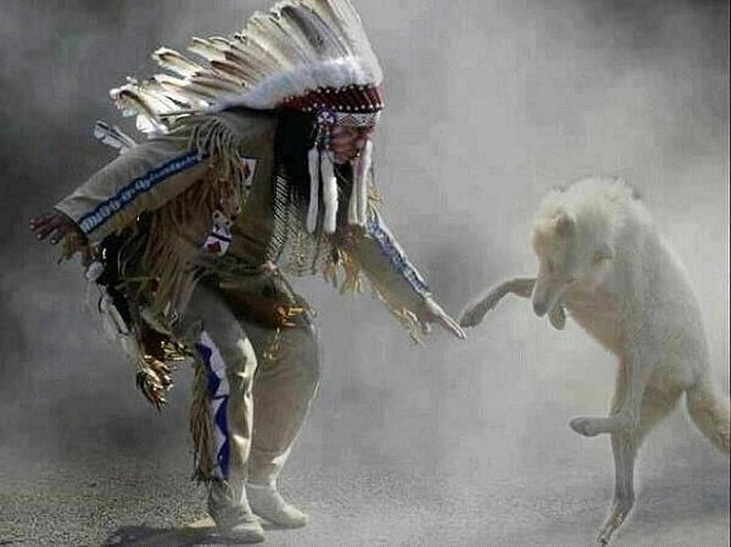 'Dances with wolves'......., Indians, tribal, Native American, dance, wolves, animals, HD wallpaper