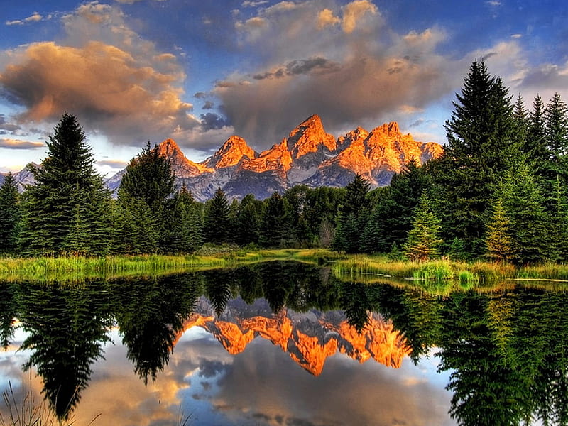 Reflected landscape, trees, sky, clouds, lake, mountains, plants, pinetrees, reflected, landscape, HD wallpaper