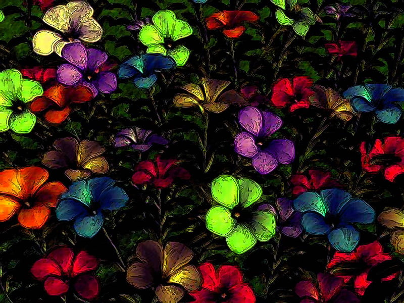 Flores oscuras, coloridas, flores, color, oscuro, Fondo de pantalla HD |  Peakpx