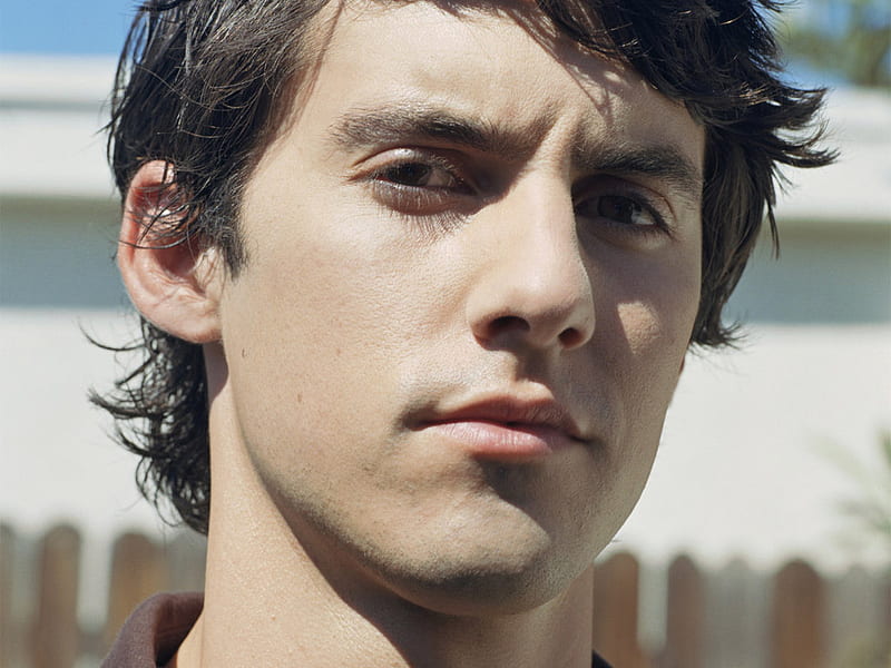 Milo Ventimiglia, cute, male, strong look, nice eyes, pretty face, actor, HD wallpaper