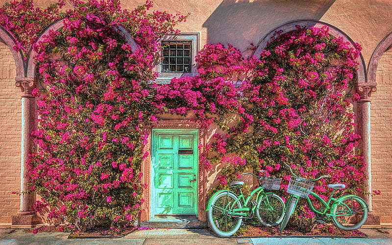 Bycycles in The Sun, bougainvillea, door, bycycles, graph, green, flowers, HD wallpaper