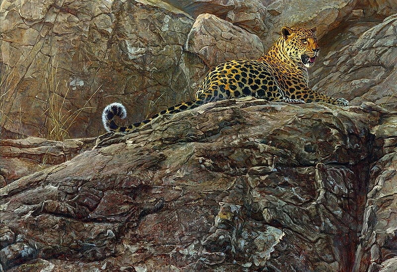 First light, cat, animal, john banovich, art, painting, jaguar, pictura, HD wallpaper