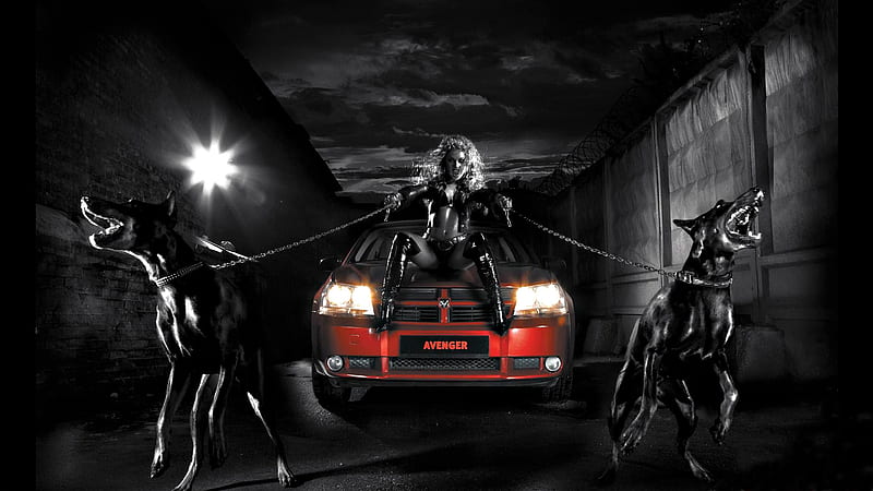 Hella, red, caine, black, situation, fantasy, car, funny, dog, HD wallpaper
