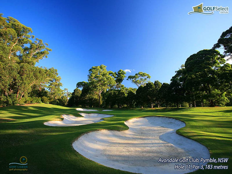 Avondale Golf Club, golf course, golf, awesome, bonito, links, HD wallpaper