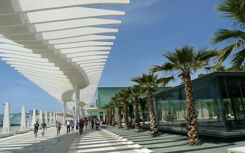 Promenade in Malaga, Spain, Malaga, Spain, palms, promenade, HD wallpaper